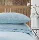 Behrens Aqua Stripe Pillow Cases